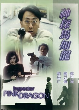 神探马如龙封面图