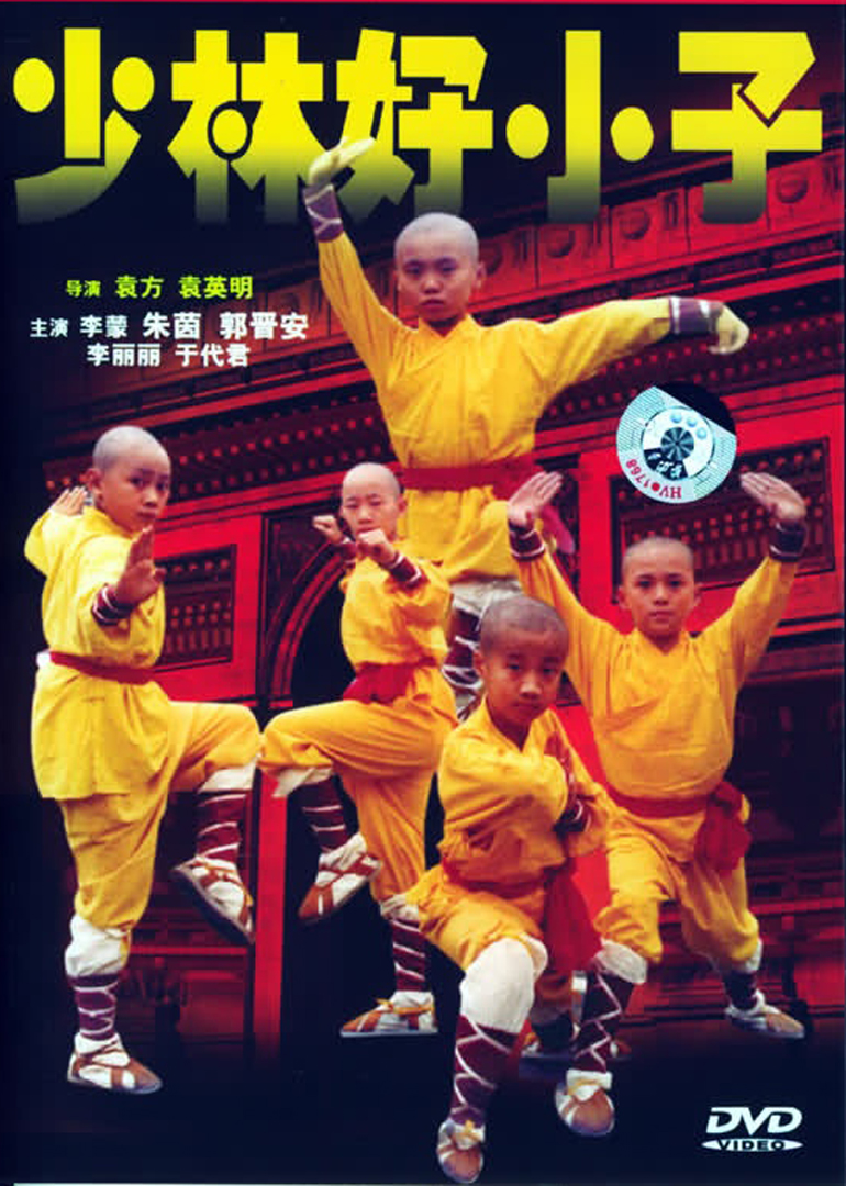 少林龙小子封面图