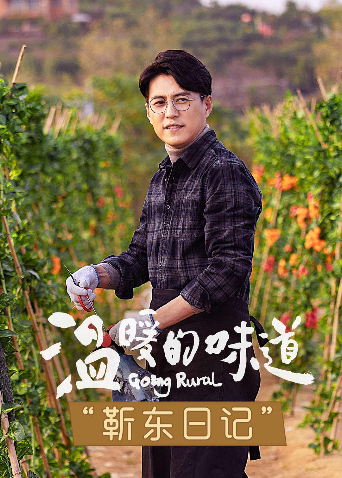 温暖的味道 靳东日记封面图