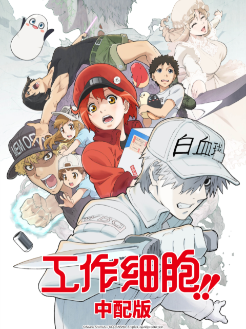 工作细胞 第二季（中配版）封面图