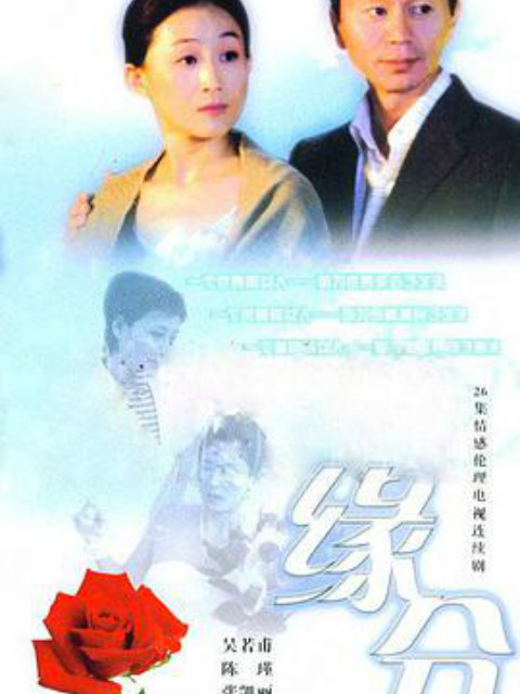 缘分的天空封面图