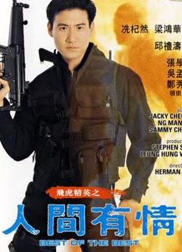 飞虎精英之人间有情封面图