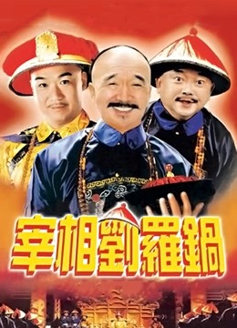 宰相刘罗锅封面图