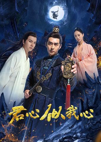 君心似我心封面图