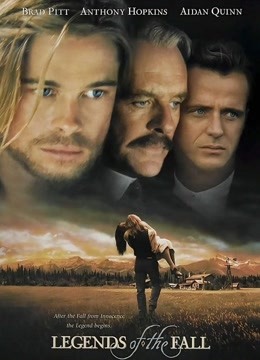 燃情岁月封面图