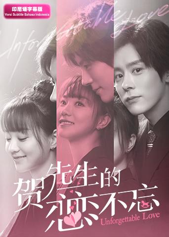 贺先生的恋恋不忘 印尼语字幕版封面图
