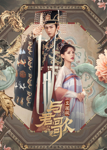 与君歌 卫视版封面图
