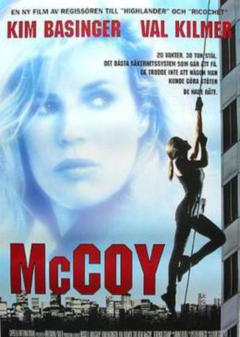 霹雳神偷封面图