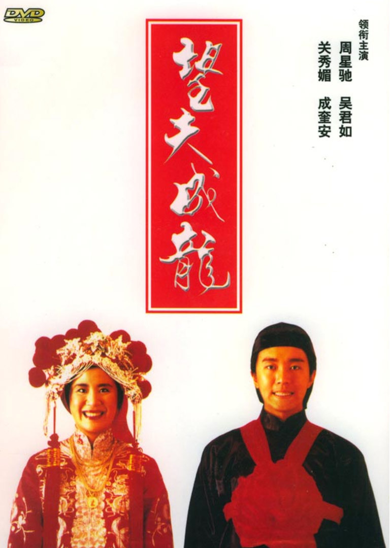 望夫成龙封面图