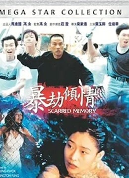 暴劫倾情封面图