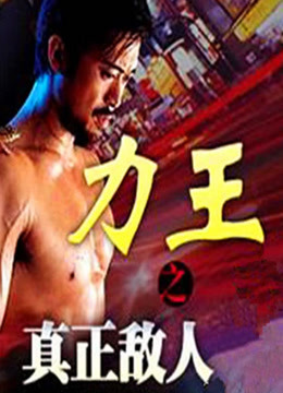 力王之真正敌人封面图