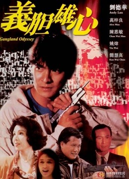 义胆雄心封面图