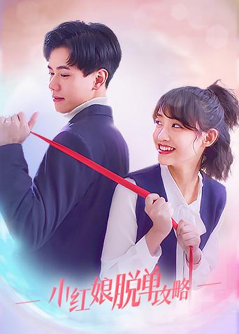 小红娘脱单攻略封面图