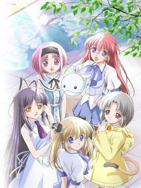 最终试验鲸鱼封面图