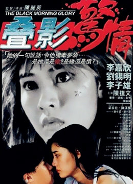 叠影惊情封面图