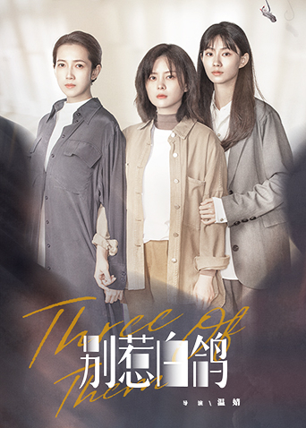 别惹白鸽封面图