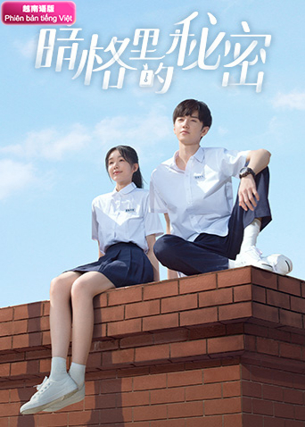 暗格里的秘密 越南语版封面图