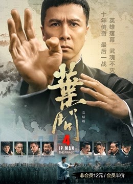 叶问4：完结篇封面图