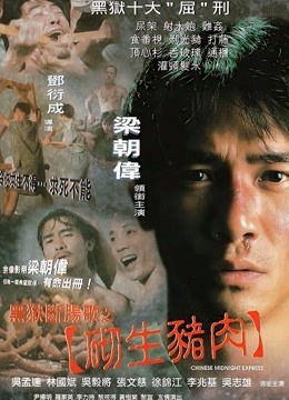 黑狱断肠歌之砌生猪肉封面图