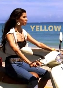 黄色封面图