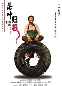 落叶归根封面图