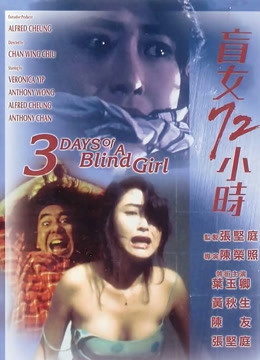 盲女72小时（粤语）封面图