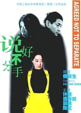 永不分手封面图