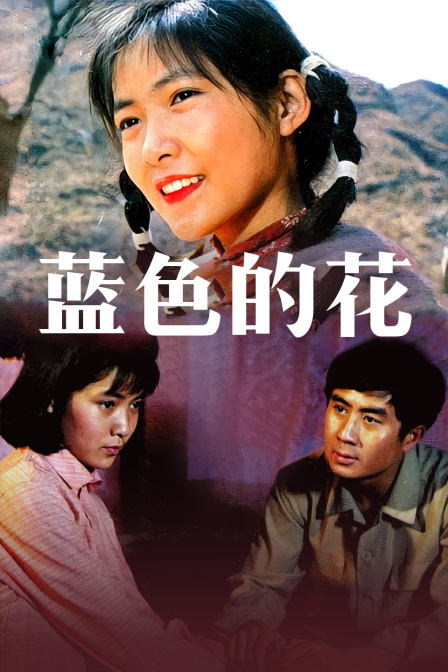 蓝色的花封面图