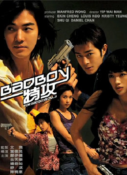 坏小子特攻封面图