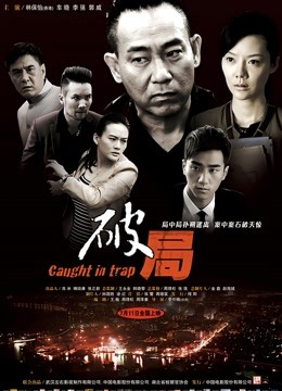 破局（2014）封面图
