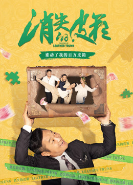 消失的皮箱封面图