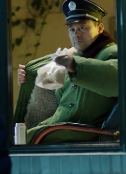 纪律如铁，柔情似水封面图