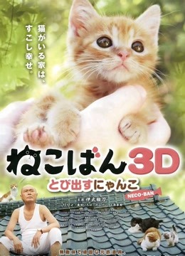 小猫跳出来3D封面图