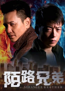 陌路兄弟封面图