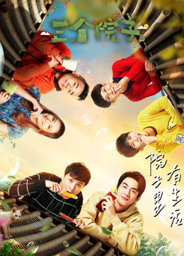 三个院子封面图