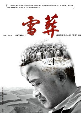 雪·葬封面图