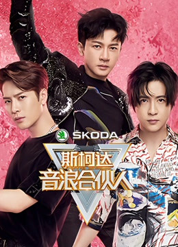 音浪合伙人封面图