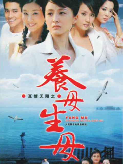 真情无限之养母生母封面图