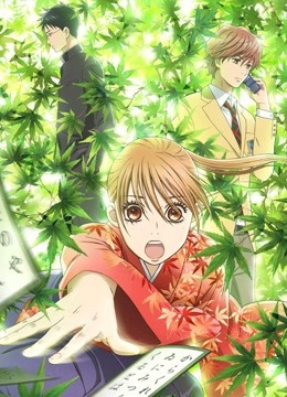 花牌情缘封面图