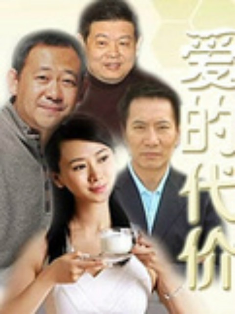 爱的代价封面图