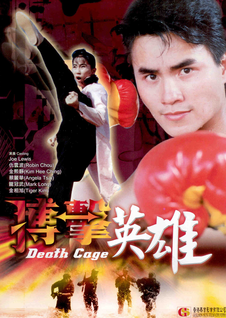 搏击英雄封面图