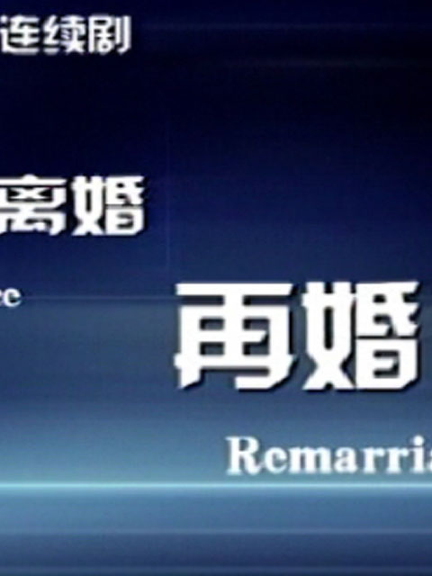 离婚再婚封面图