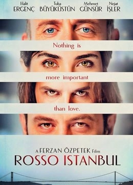 伊斯坦布尔红封面图