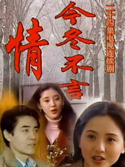 今冬不言情封面图