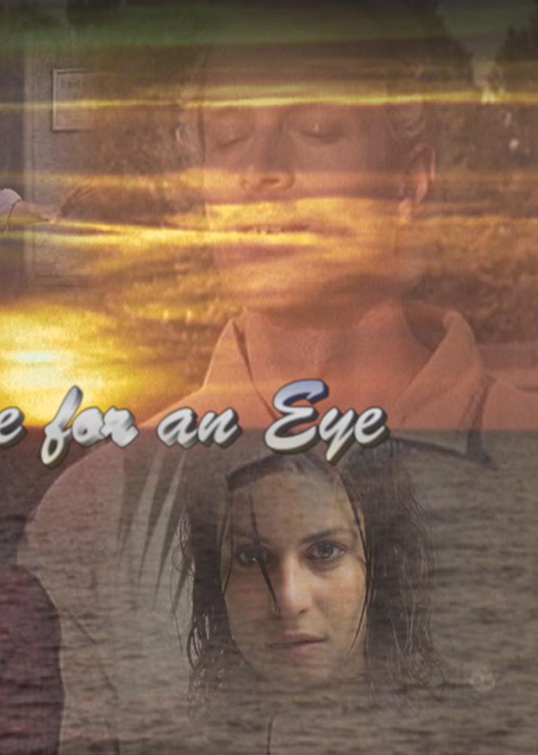 以眼还眼封面图