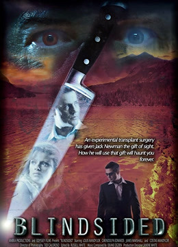 盲眼杀机封面图