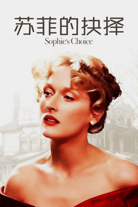 苏菲的抉择封面图
