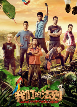 我们的丛林日记封面图