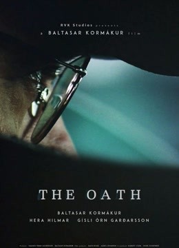 冰岛誓言封面图