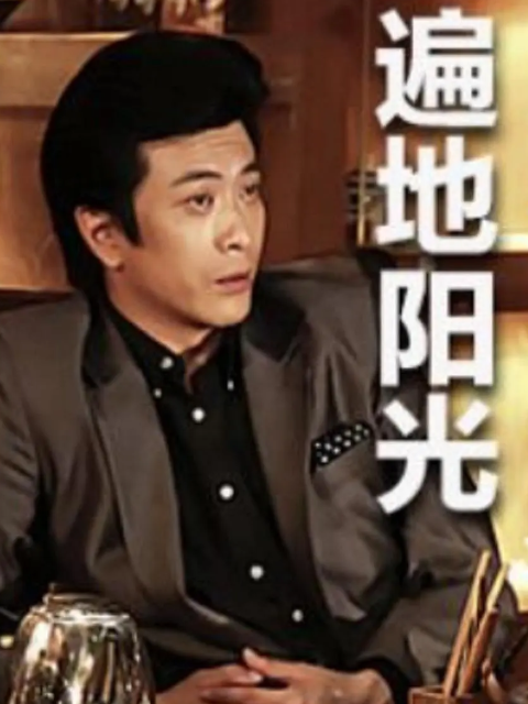 遍地阳光封面图